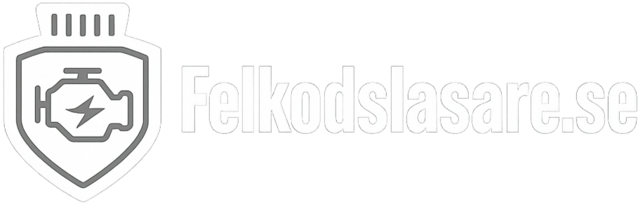 Felkodsläsare
