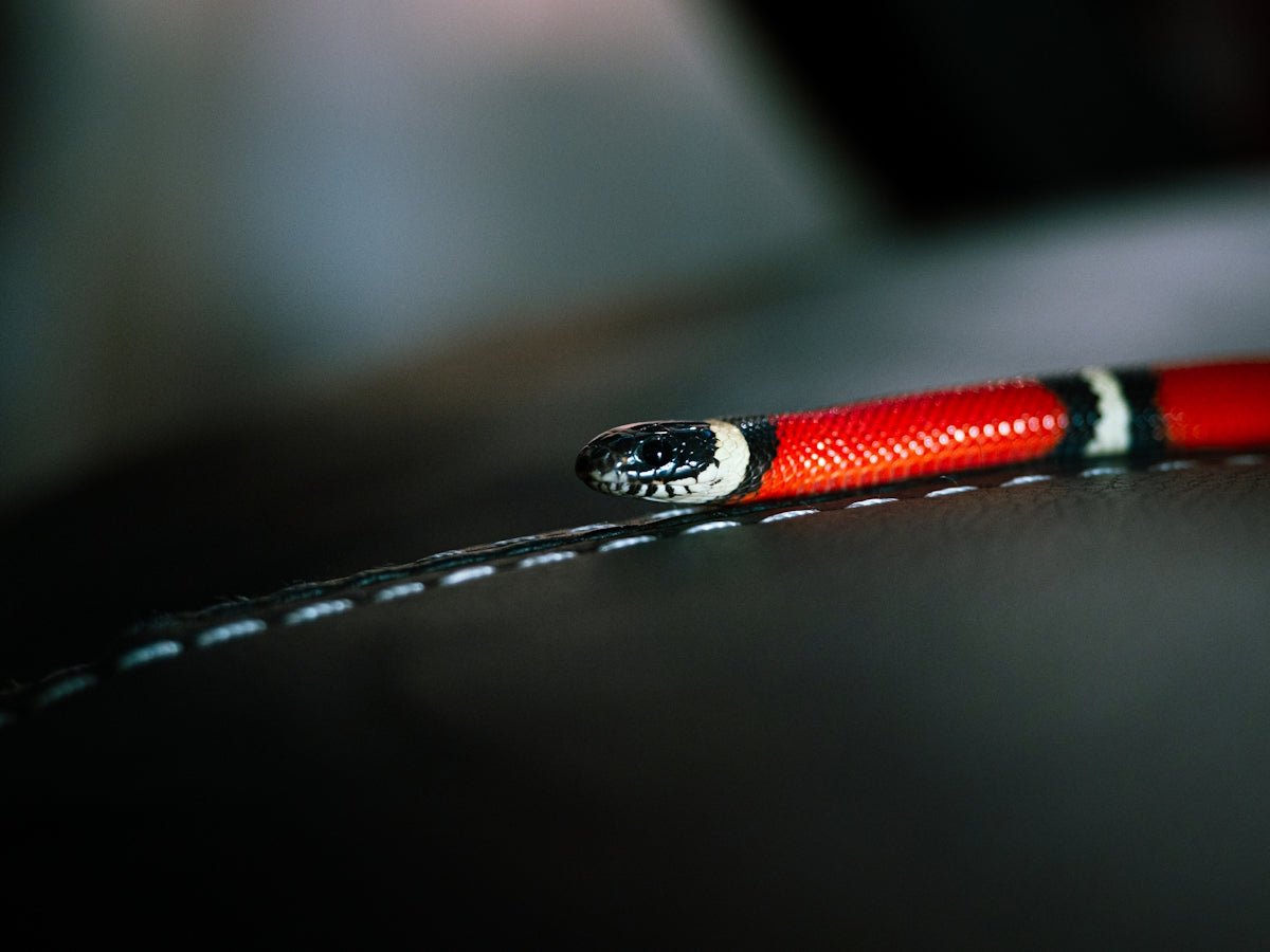 Förbättra dina motorprestanda med JFIND JF109 Justerbar Dubbelhåls Tändstifts Tester - Felkodsläsare