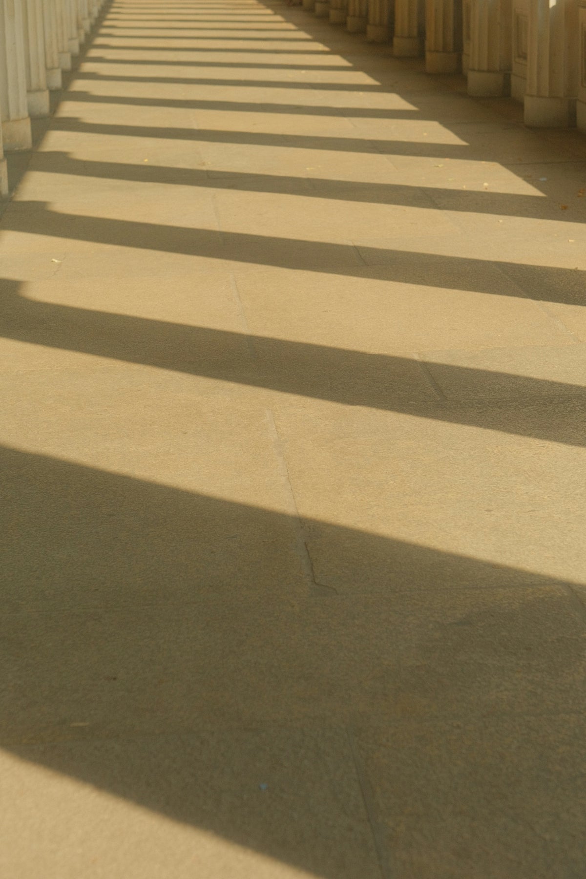 Maxiecu Funktionen Fördjupning: Falkbotarnas Vän - Felkodsläsare