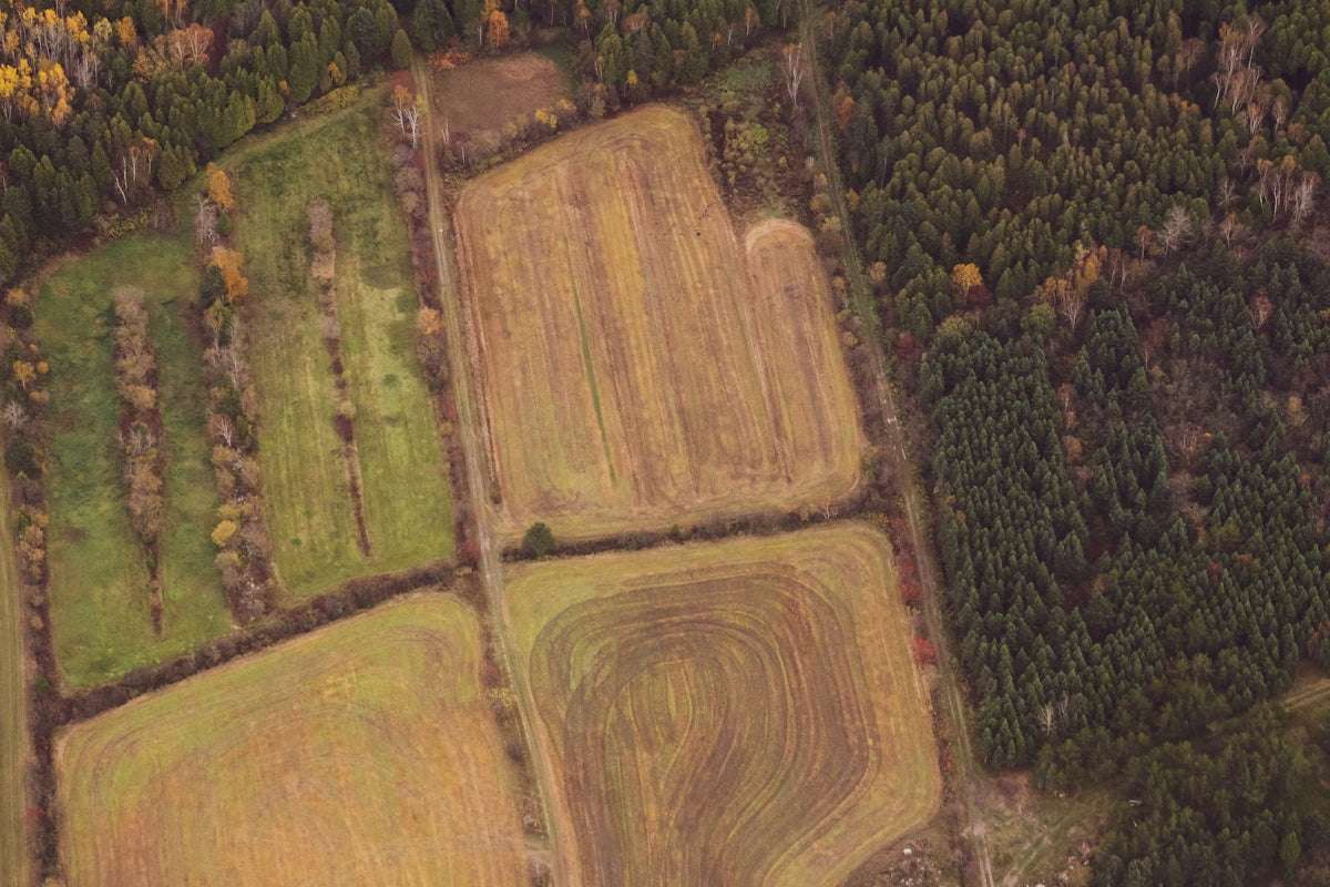 Förstå och lös de vanligaste felen i ABS-systemet
