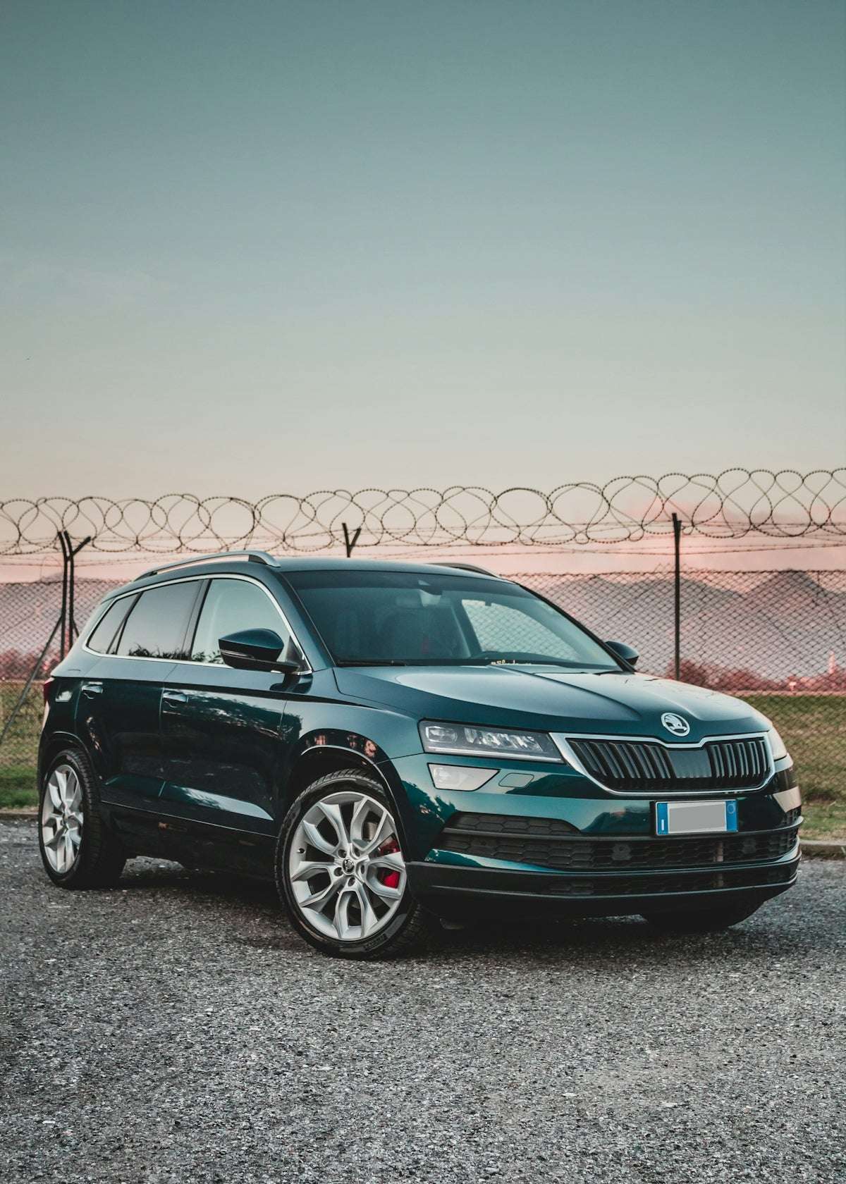 Funtionell Diagnostik Med Skoda-Tools