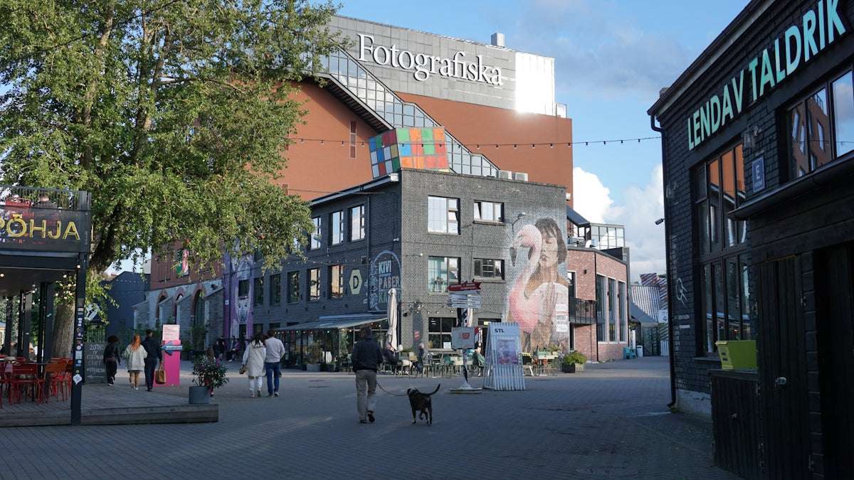 MC-felkoder för nybörjare: Enkla lösningar på återkommande problem