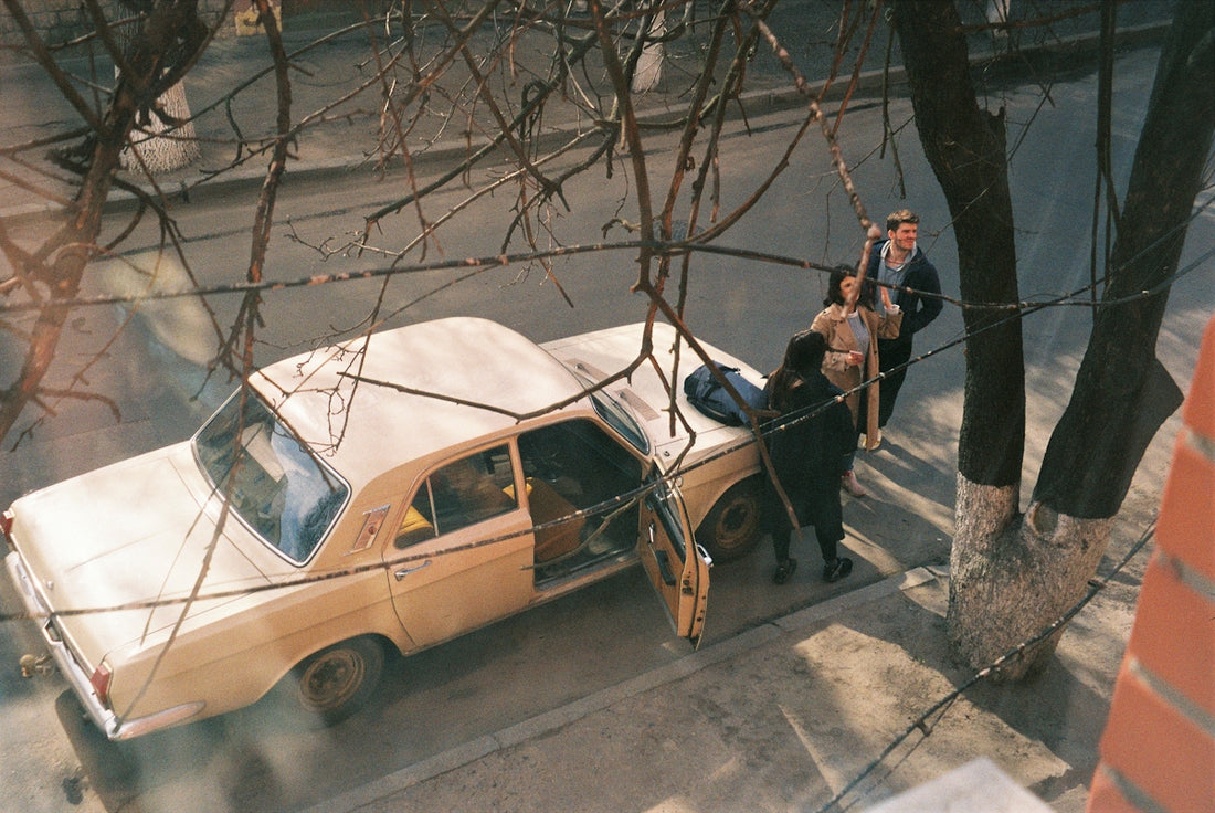 white and black horse on white car