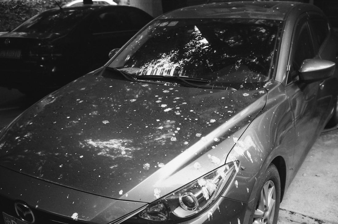 grayscale photo of car in a dark room