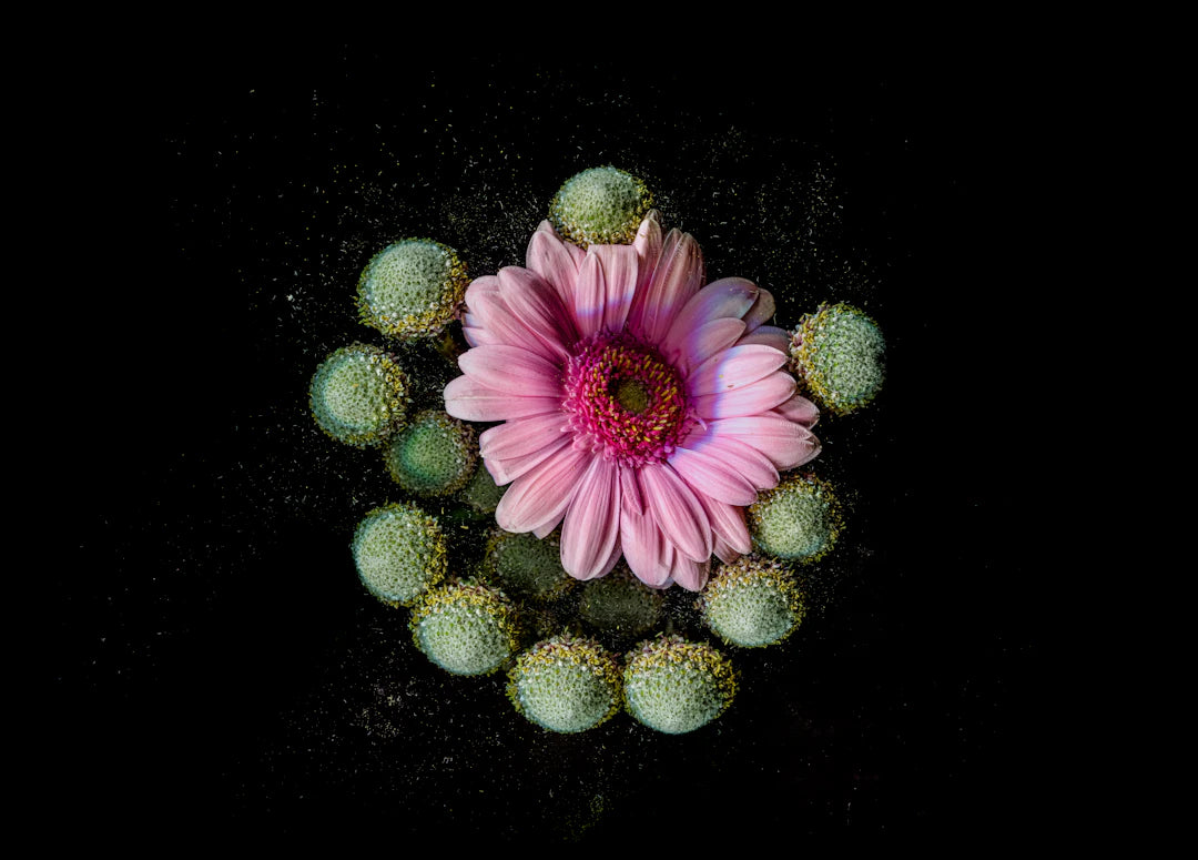 Utforska Felkodsläsare En Steg-för-Steg Guide