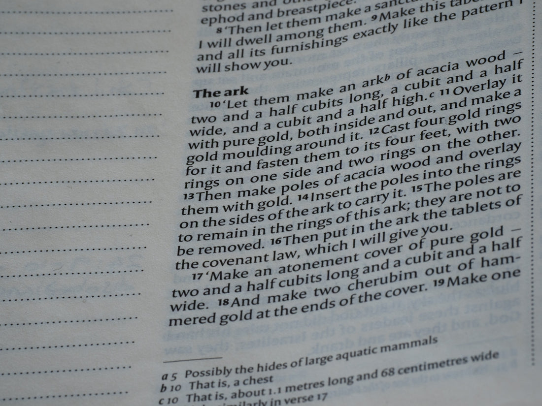 Text from a book detailing the ark's construction.