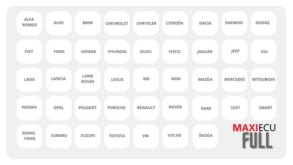 MaxiEcu EXPERT Felkodsläsare (Asia-paket)